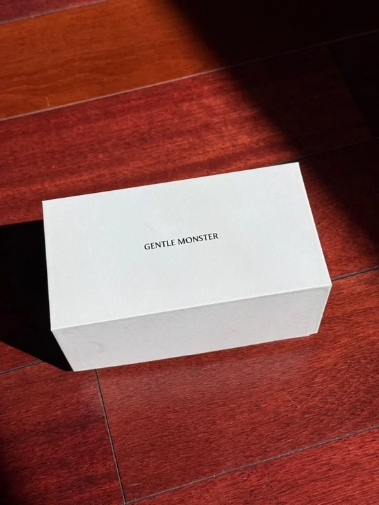 Gentle Monster Black Terra Cotta Sunglasses - Picture 10 of 10